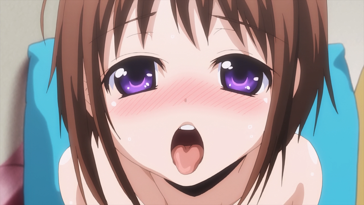 Okusama ga Seitokaichou!+! (Hoshizora)